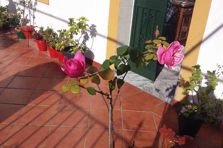 Vintage Red Balcony Tile Design Idea